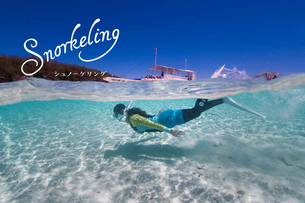 Snorkeling Tour